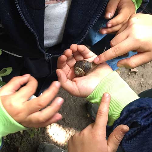 snail being poked